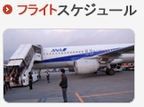 フライトスケージュール