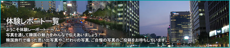 体験レーポート一覧