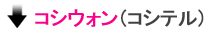 コシウォン(コシテル)