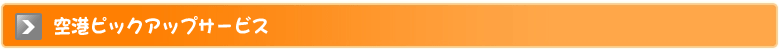 空港ピックアップサービス