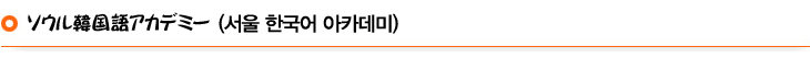ソウル韓国語アカデミー