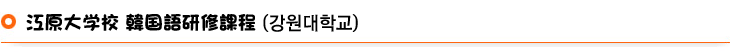 江原（カンウォン）大学校国際語学院